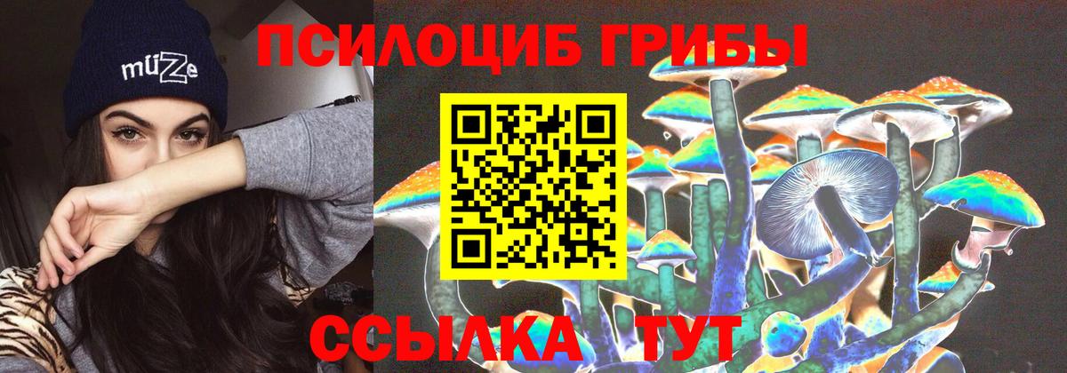 Галлюциногенные грибы GOLDEN TEACHER  Псилоцибиновые грибы Magic Shrooms  Вход с VPN  Заволжье 